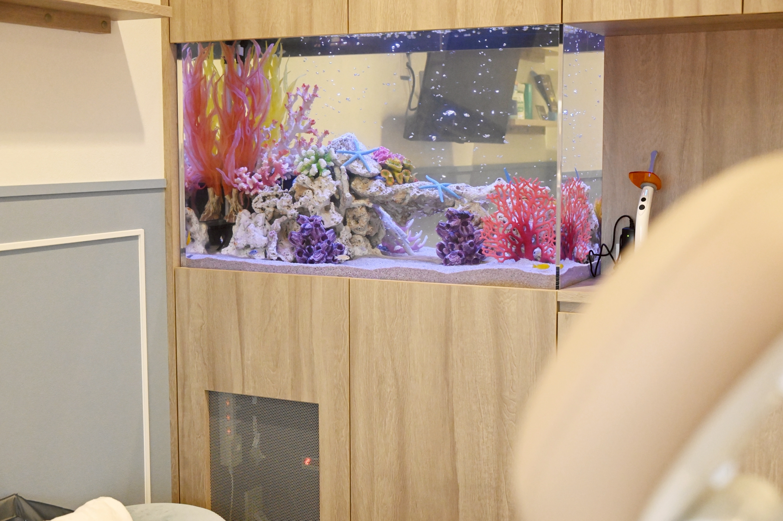 お魚、水槽